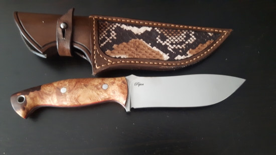 Elmax a stabilizovaný topol