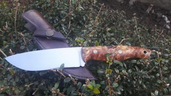 N690 a stabilizovaný Topol