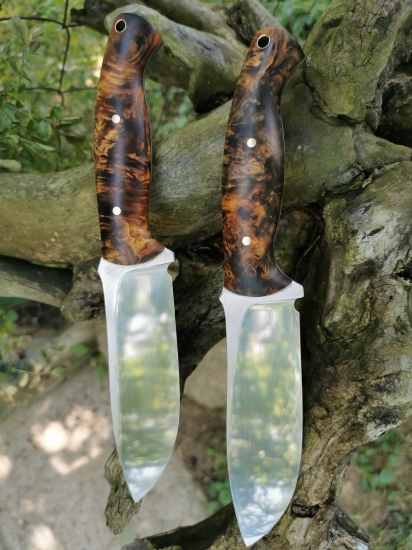 Dvojčatá Elmax a stabilizovaný Topoľ