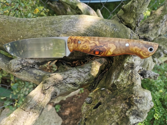 Elmax a stabilizovaná Oliva