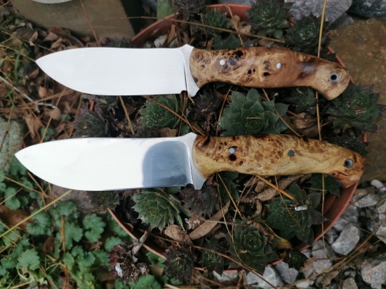 Dvojičky z Elmax a stabilizovany Topoľ