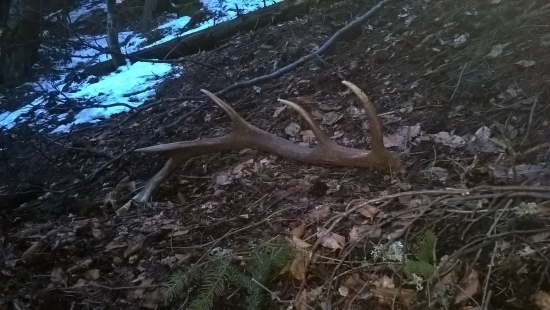 keď sa už ztmievalo