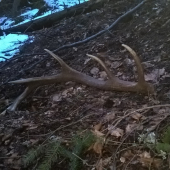 keď sa už ztmievalo