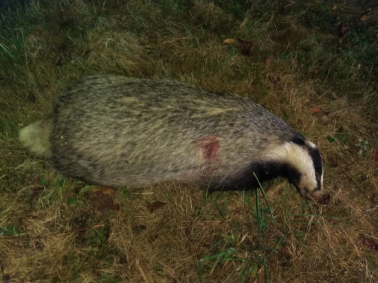 ,,,,,,návštevník,,,,,,