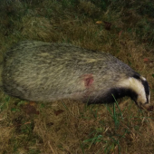 ,,,,,,návštevník,,,,,,