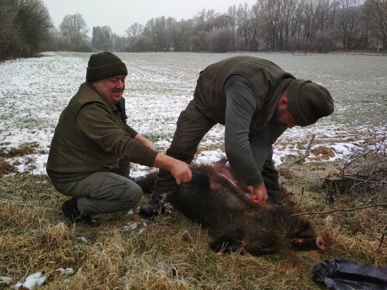 Kde len su tie mandle :o)