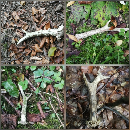 Štyri behom týždňa ;) ;)