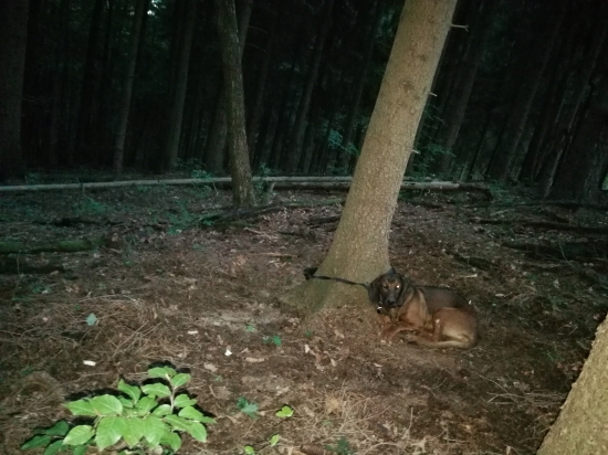 Wera z Kmeťovej Horárne-odloženie.