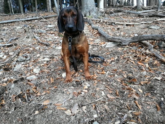 Werin prvý čerstvý ;)