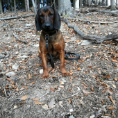 Werin prvý čerstvý ;)