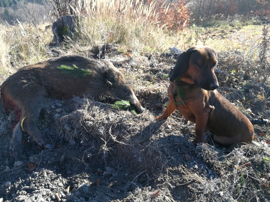 V horách milovaných..