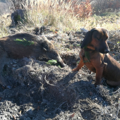 V horách milovaných..