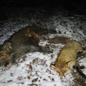 Dnes ku mne boli patróni naklonený...