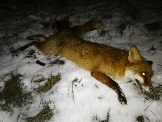 Dnes opäť šťastie...