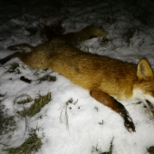 Dnes opäť šťastie...