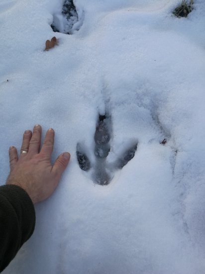 Už aj takéto sa dajú nájsť v revíri....