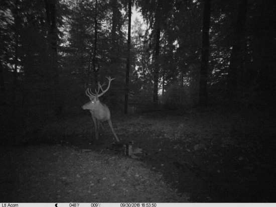 Jeden pánko z ruje...