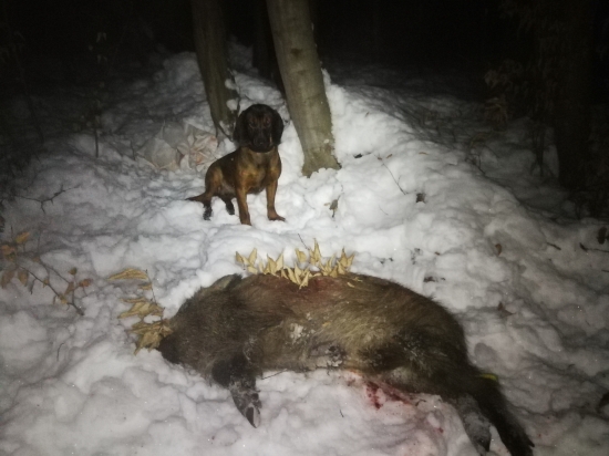 Aj v mraze sa dá našúlať...