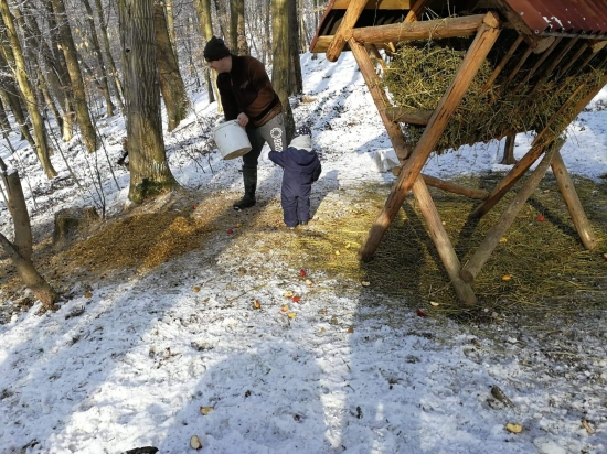 Každý deň trochu...