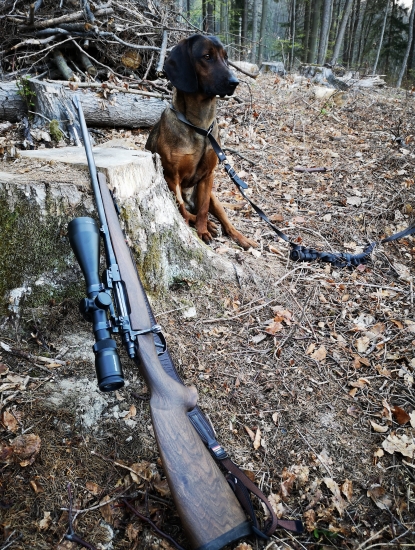 Z ranného piršu...