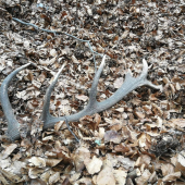 Bratovi sa ho podarilo zdvihnúť asi po 20min Dohľadavania ....