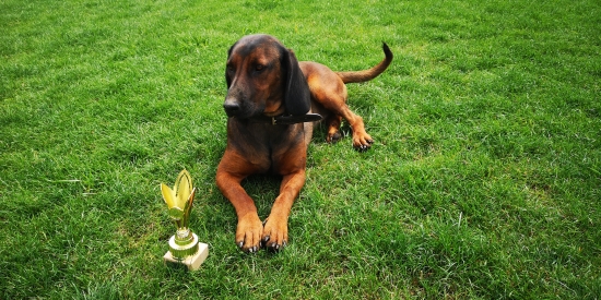 Wera z Kmeťovej Horárne...