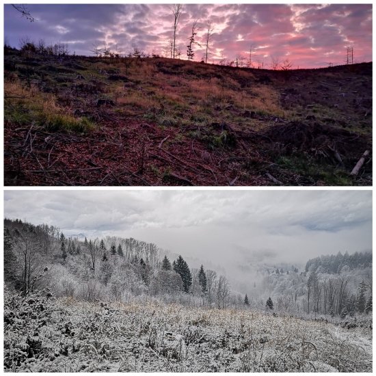 Toto ma nikdy neomrzí...