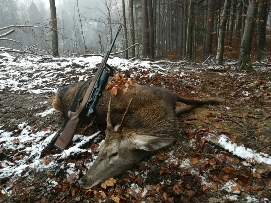 Jedna pekná archívna....