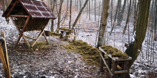 Majú to tam prichystané....