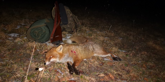 Začína im chutiť...