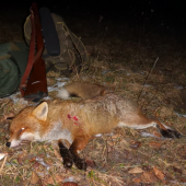 Začína im chutiť...