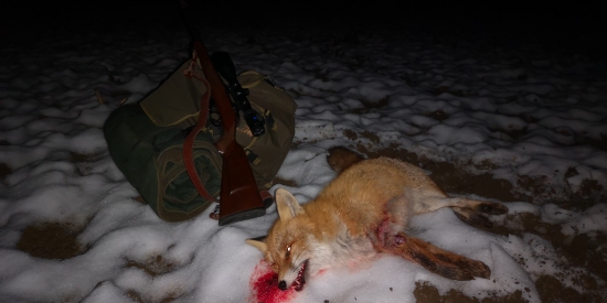 Ukončenie sezóny...