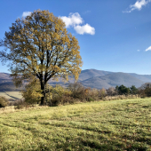 Na Ostrožku