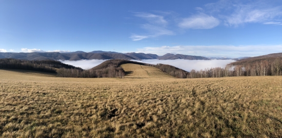Inverzia