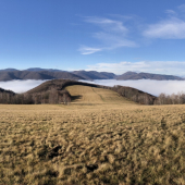 Inverzia