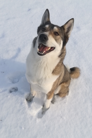TAJGA ❤️