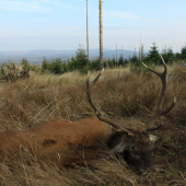 Už aby to zase začalo