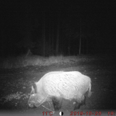 Z tých menších :)