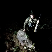 splnova jalova diviacica