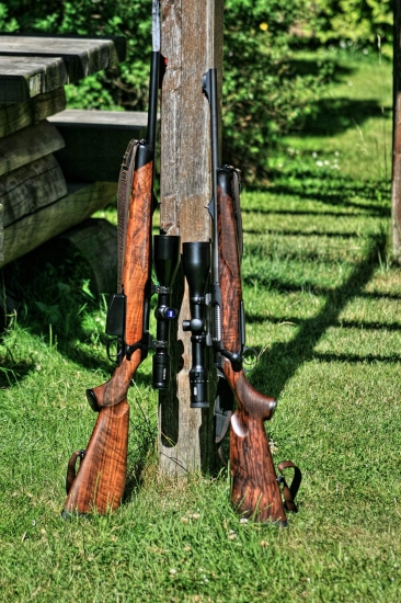 Dvě generace Sauera