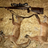 Hattrick na 3. pokus