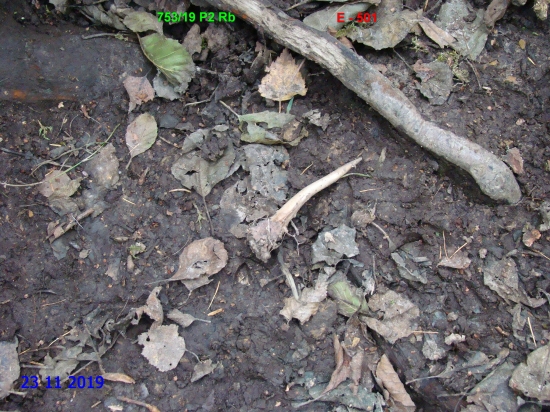 První letošní E-501