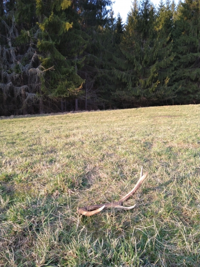 Zaliaty zapadajúcim slnkom