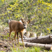 Krásny zážitok :-)