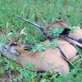 Ked moknes ale stoji to zato