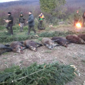 Hosťovská poľovačka PZ Vlčia Skala Oponice