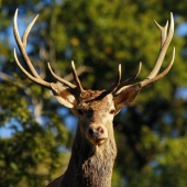 Nezabudnuteľný pohľad...