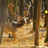 Po 3 rokoch sme sa znovu stretli..