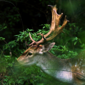 S módnym doplnkom..