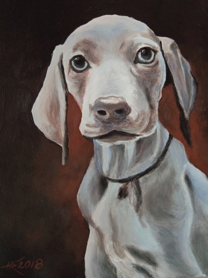 Šteniatko weimarského stavača